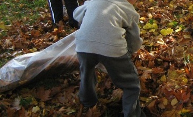 mali ekolozi grabljaju lišće